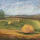Bales Study