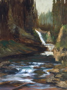 Waterfall in the Ravine
