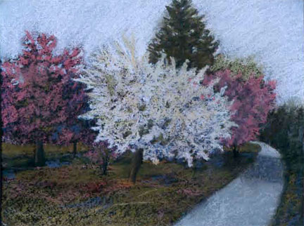 CSU Spring Orchard
