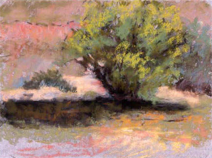 Hillside Tree