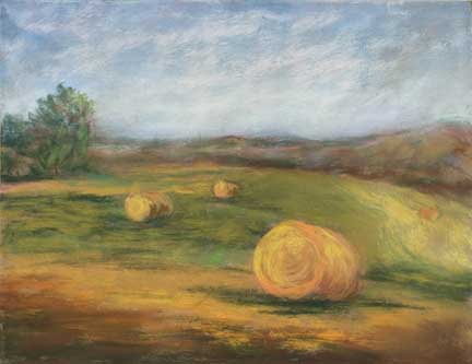Bales Study