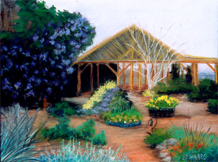 Wild Flower Market