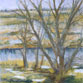 Prospect Ponds 2