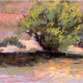 Hillside Tree