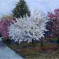 The Arboretum at CSU